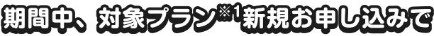 期間中、対象プラン※1新規お申し込みで