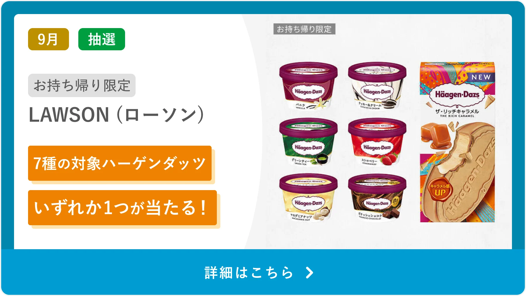 抽選特典1_ハーゲンダッツ