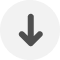Arrow Down Icon
